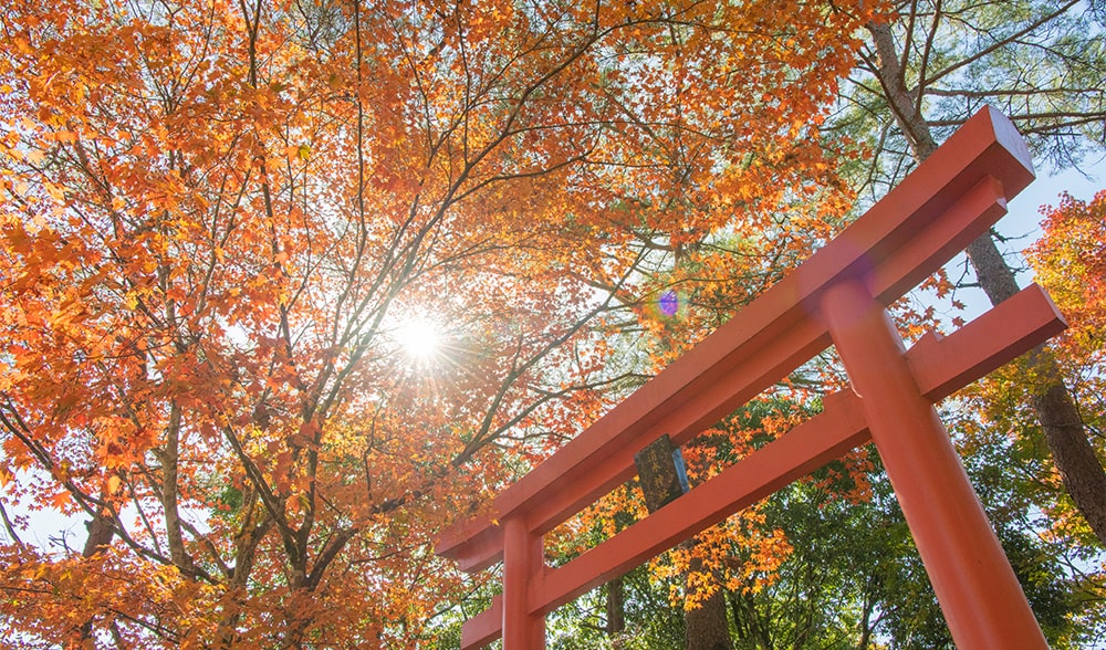曽木の滝 紅葉1