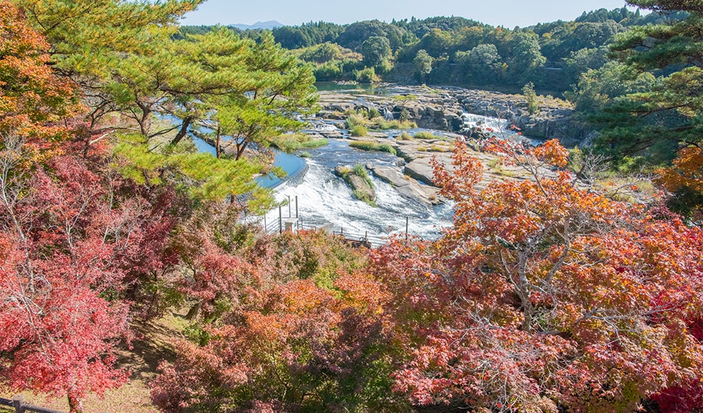 曽木の滝 紅葉3